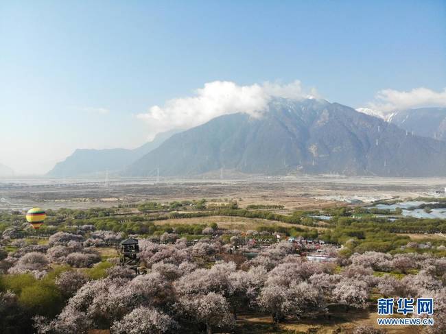 这是3月27日在林芝市嘎拉村拍摄的桃花（无人机照片）。